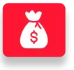 bag-dollar-icon